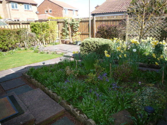 Photo 17