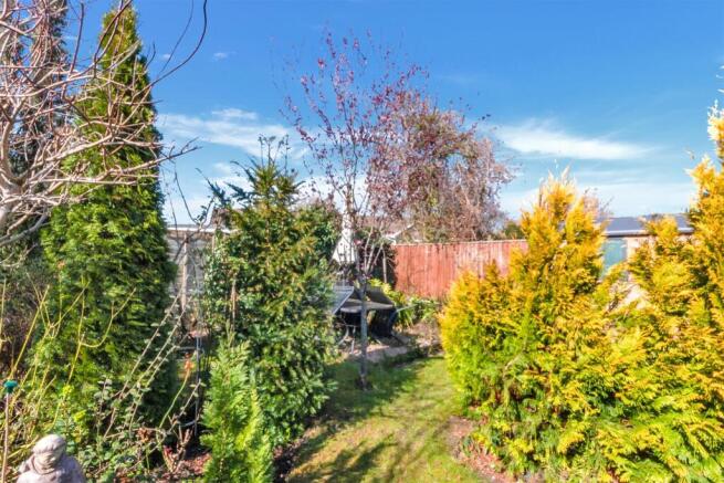 Garden 5.jpg