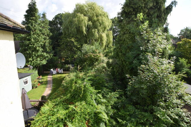 Photo 02