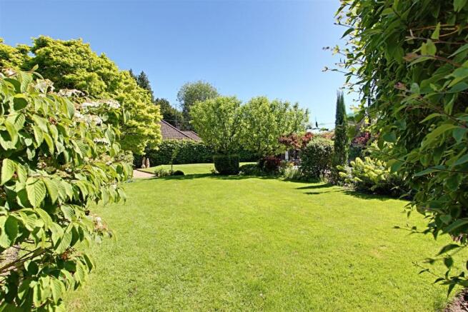Garden 4.jpg