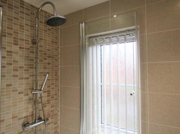 Shower in Bathroo...