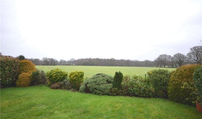 Fields From Garden