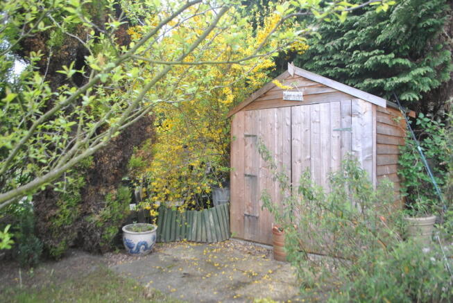 Photo 13
