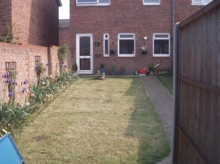 Photo 8