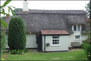 Rear view