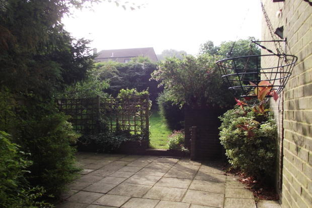 Side Garden
