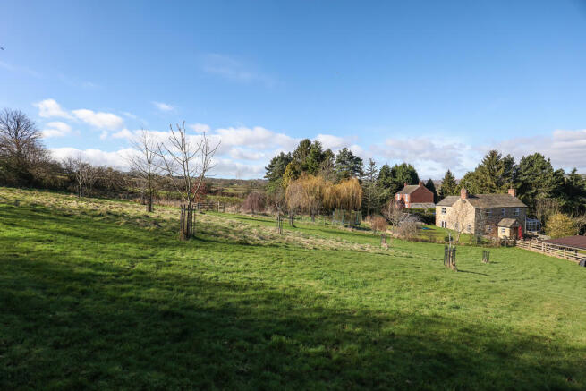 Grounds