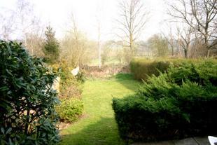 Outlook over garden