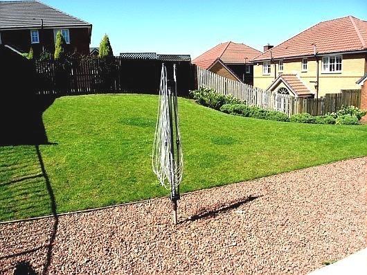 BACK GARDEN