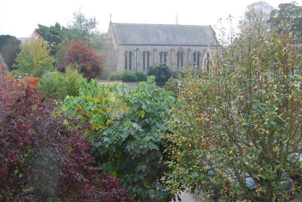 Photo 7
