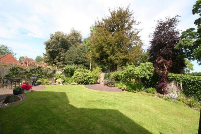 Garden 2.JPG