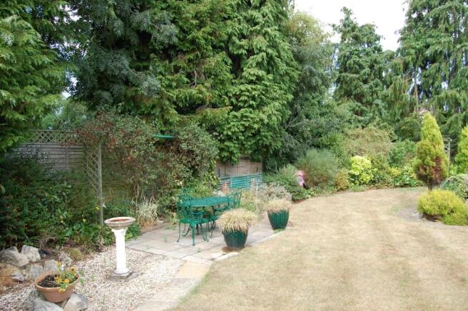 Photo 15