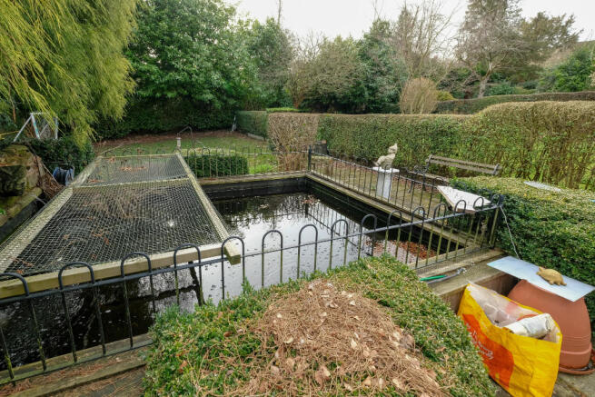 Pond area