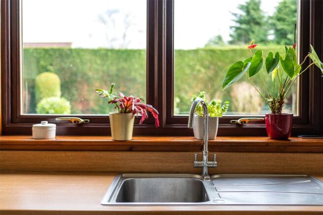 Kitchen Views