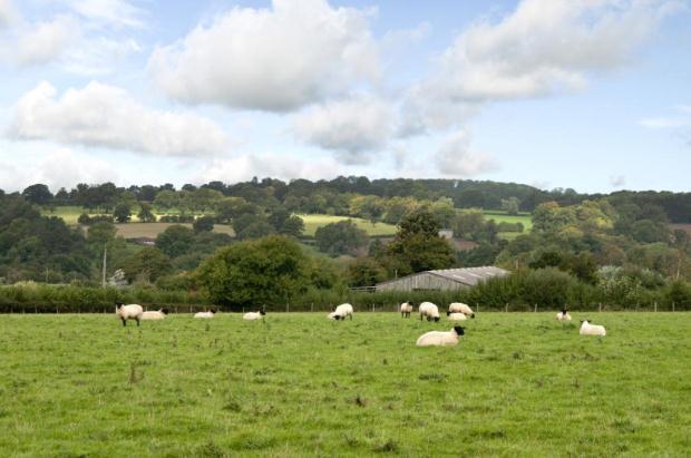 Acres