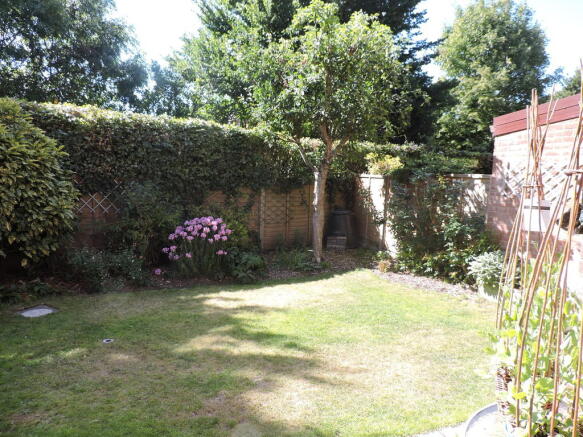 Photo 5