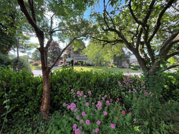 Garden 5.JPG