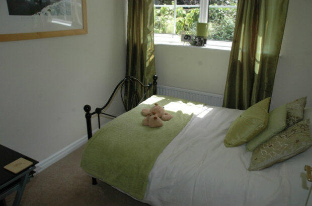Photo 11