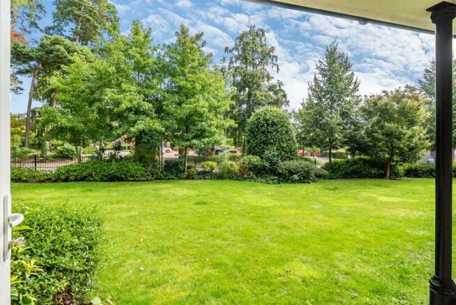 View from Patio.jpg