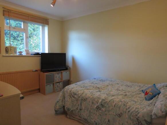 Picture 5