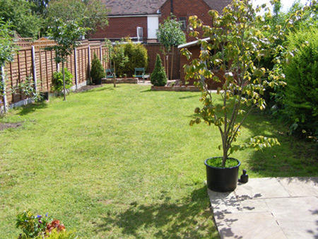 Garden