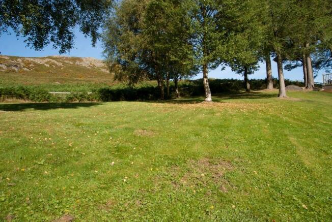 Garden and View