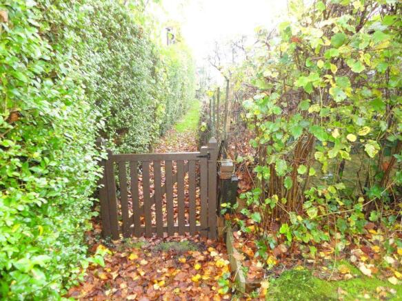 Photo 11