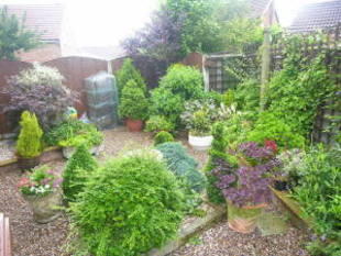 Photo 10