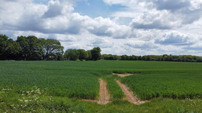dji_fly_20260515_...