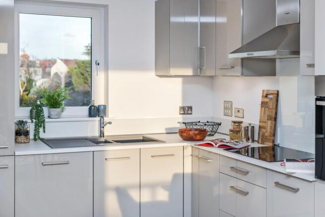 pinefields, livingston