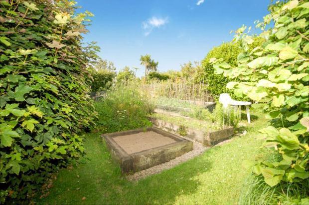 Vegetable Garden