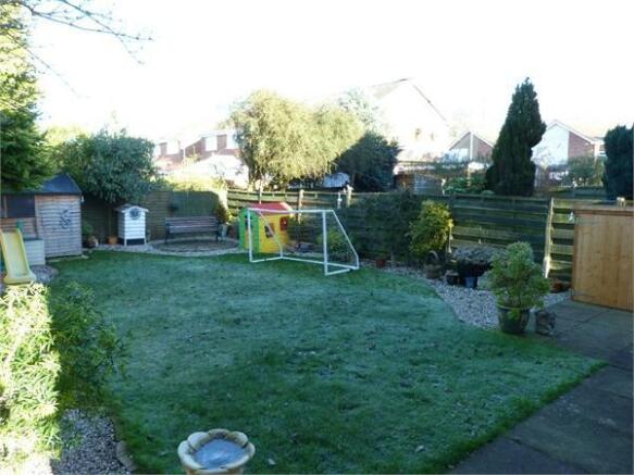 Photo 15