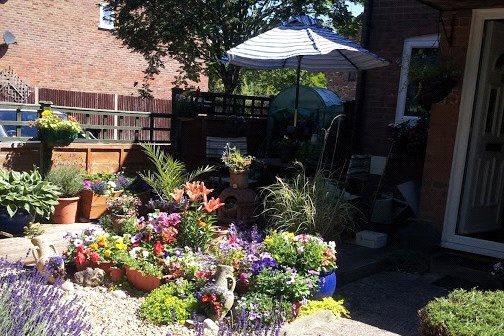 Summer Garden 2