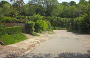 Primrose Lane