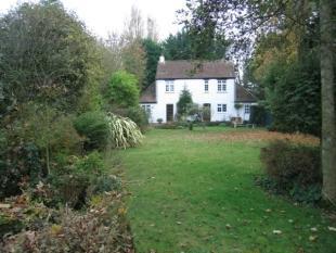Rear Elevation