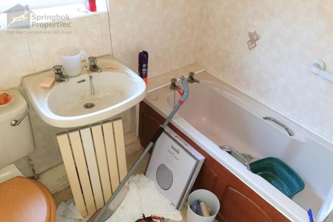 IMAGE 7