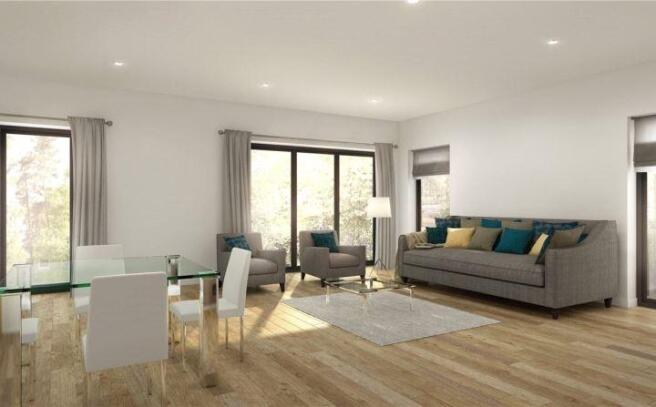 Kitchen/ Living Area