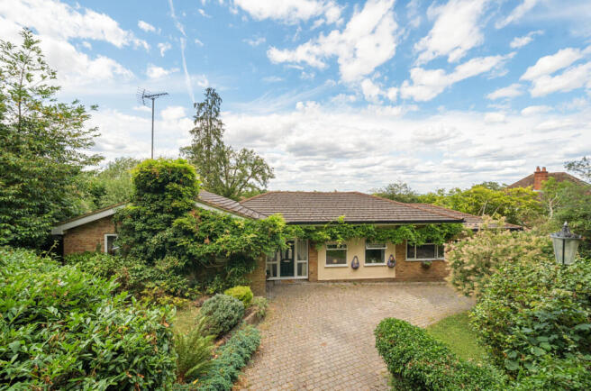 1313636-1-6866902...