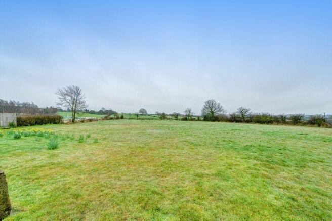 Field