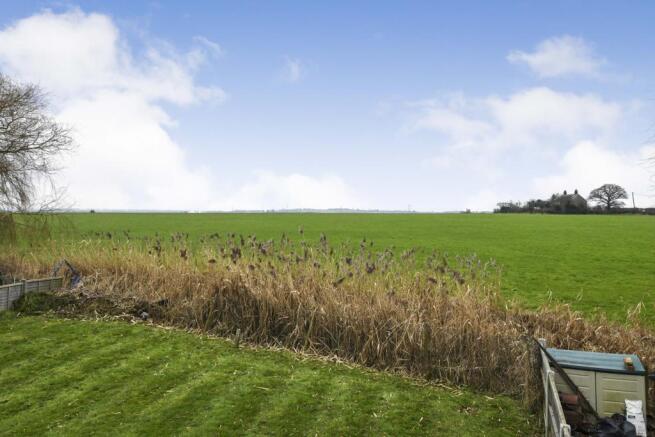 Field Views