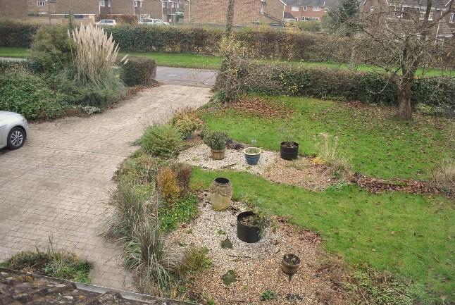 FRONT GARDEN & DRIVEWAY