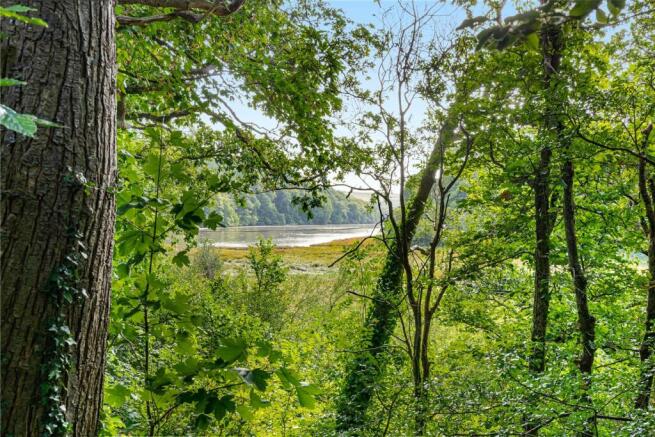 View From Woodland
