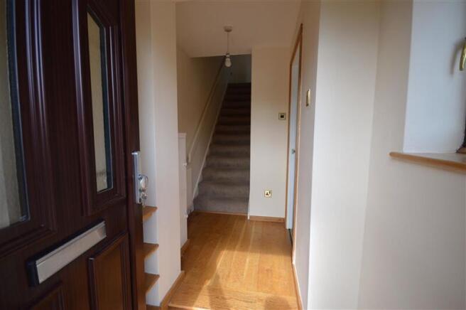 photo14