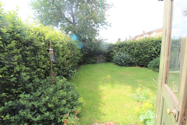 back garden