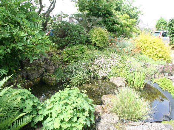 Image 15