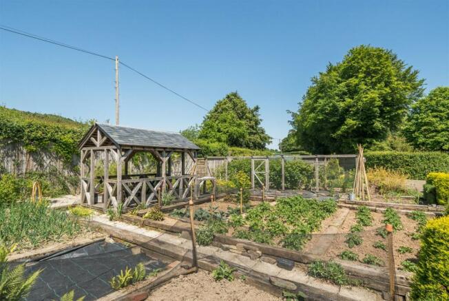 Vegetable Garden
