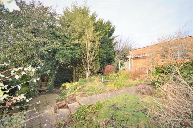 Garden 3.jpg