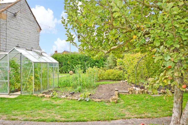 Vegetable Garden