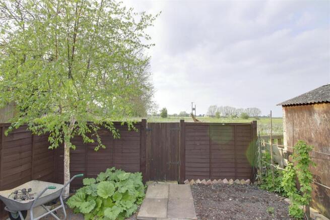garden 2.jpg