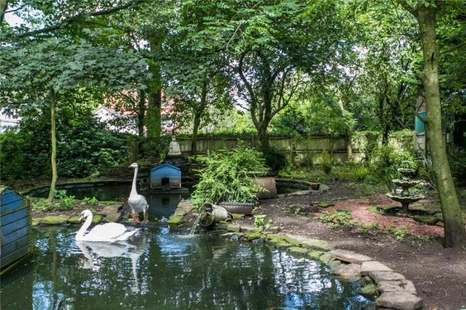 Pond